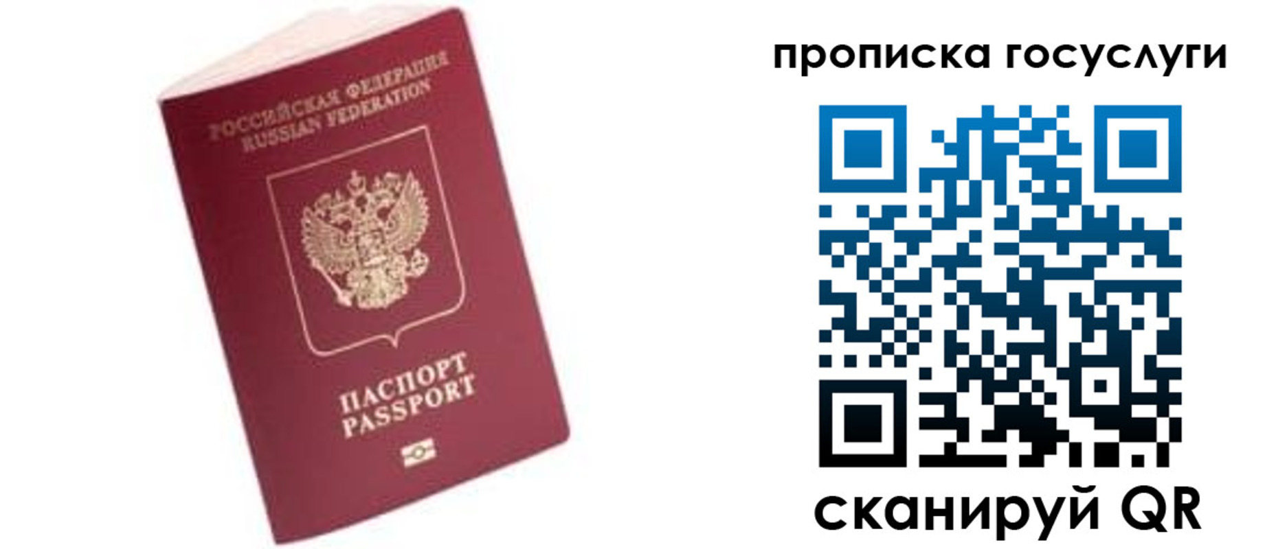 прописка в Елизово